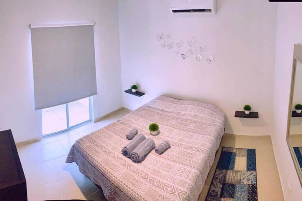Luna Pacific Los Cabos - Condo Near Beach カボ・サン・ルーカス エクステリア 写真